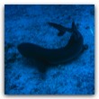 IMG_0827n